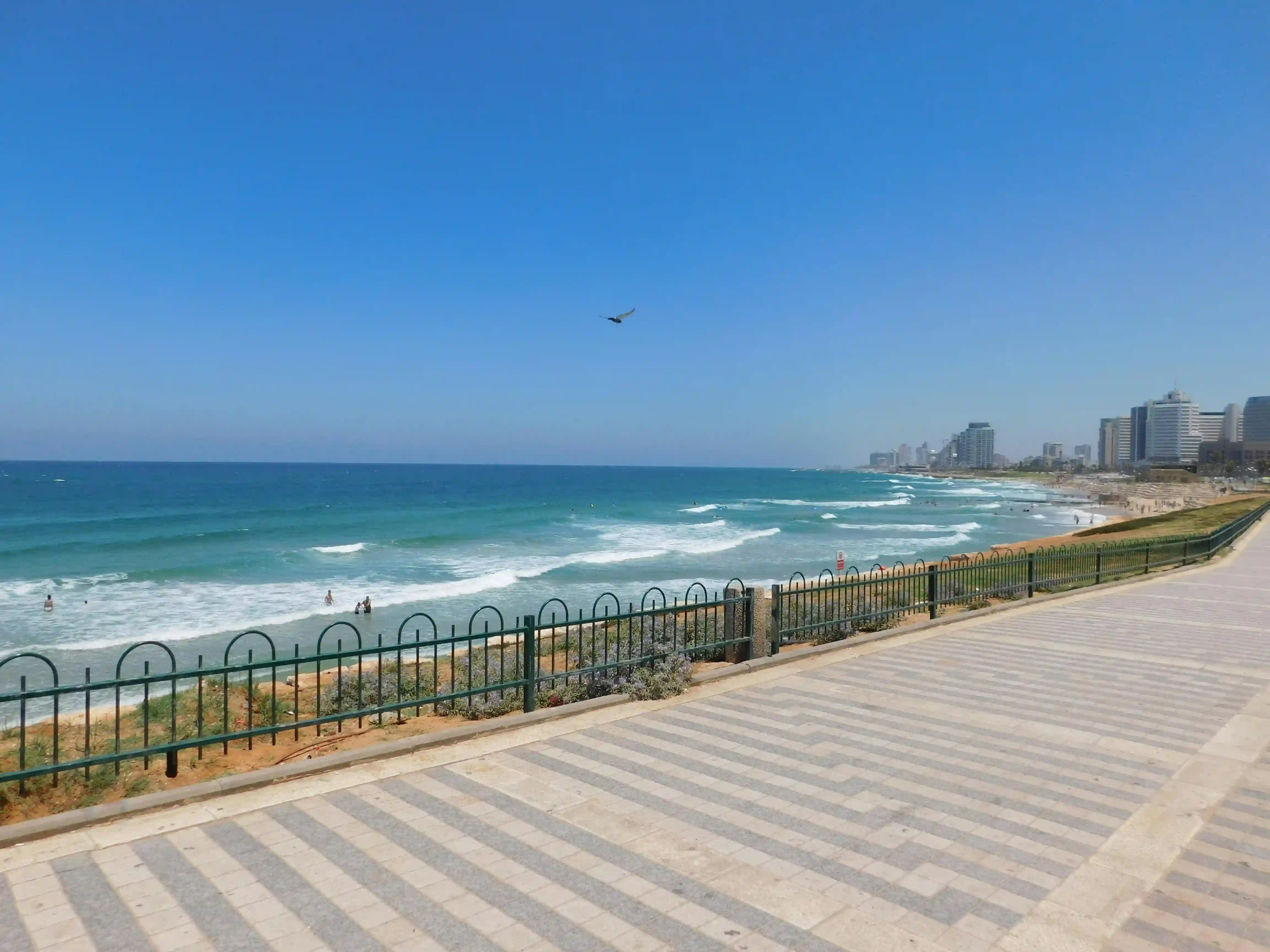 The Beach Promenade