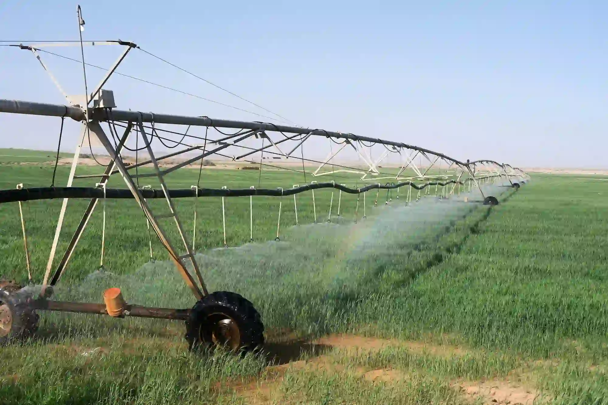 Desert Agriculture