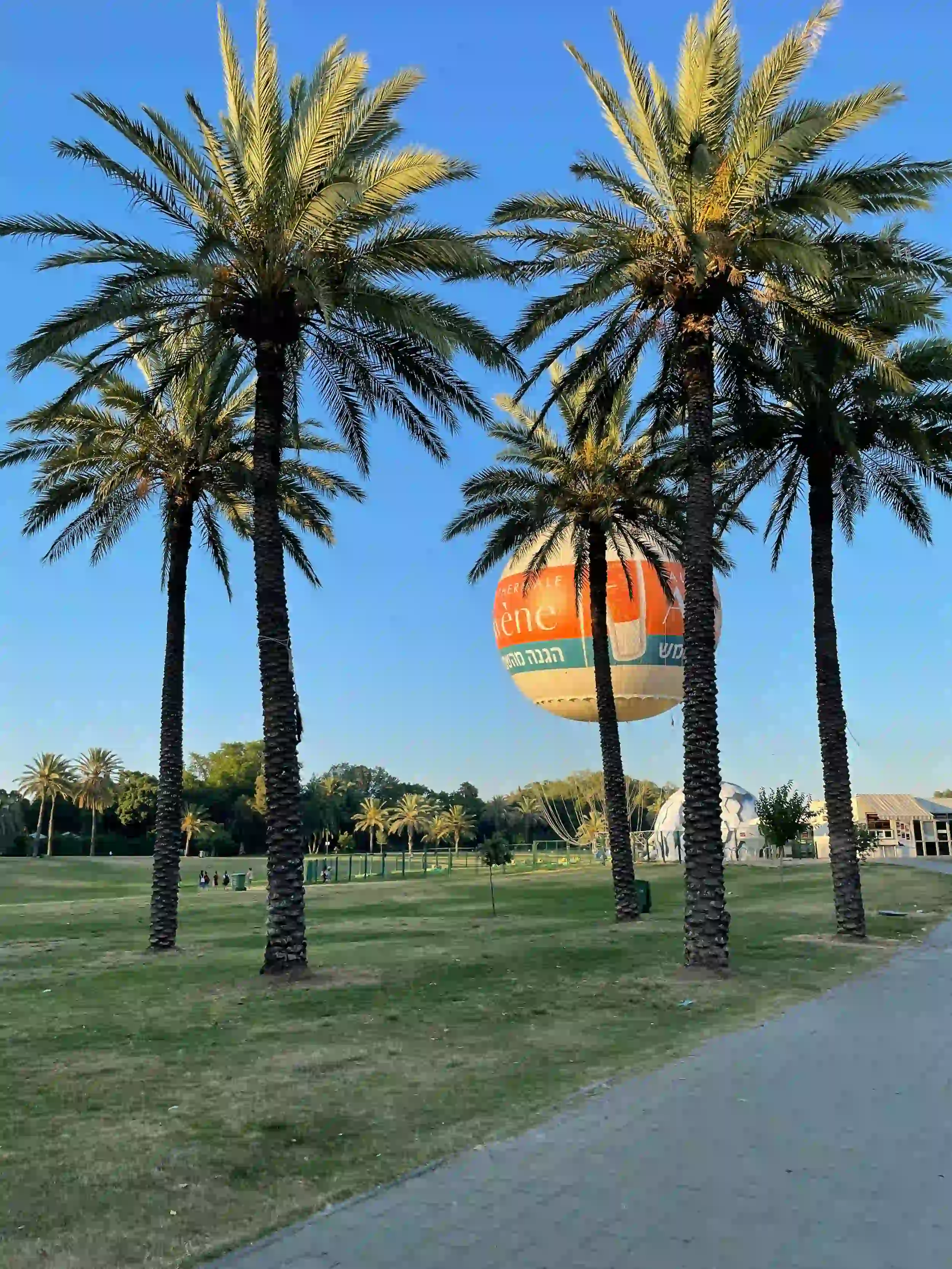 The Park